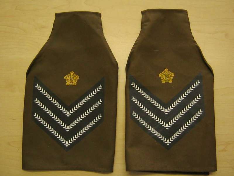 Set of SA Airforce rank brassards